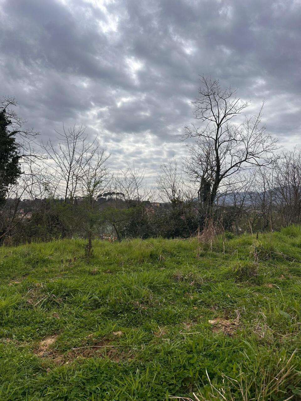  - foto 23