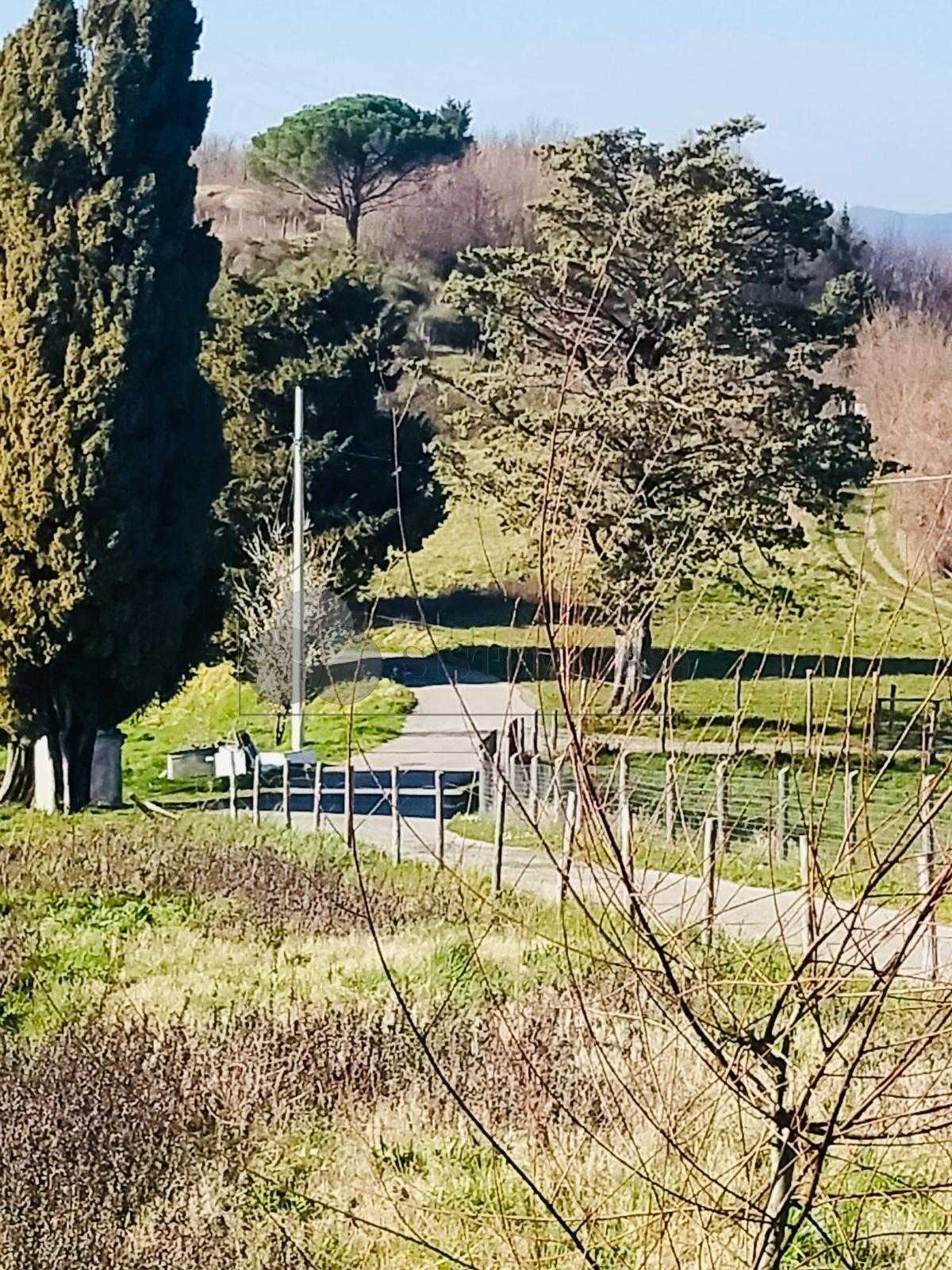  - foto 20