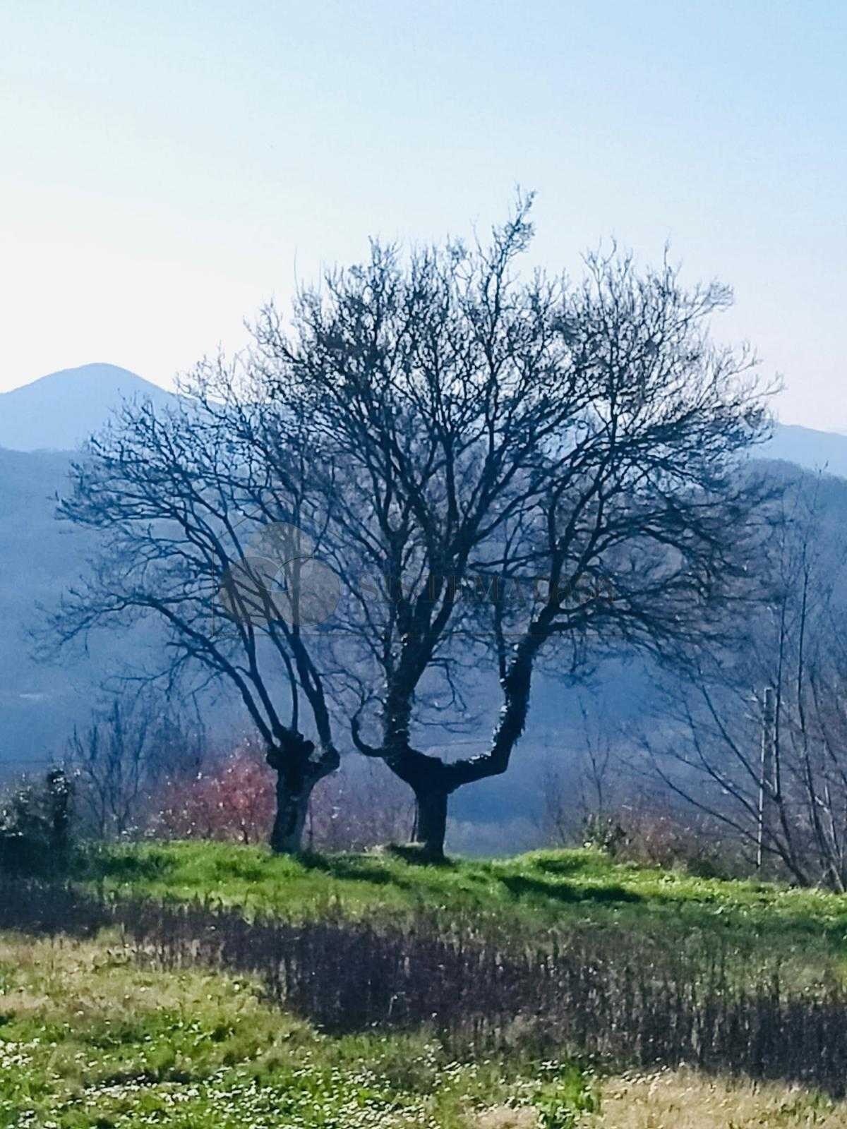  - foto 22
