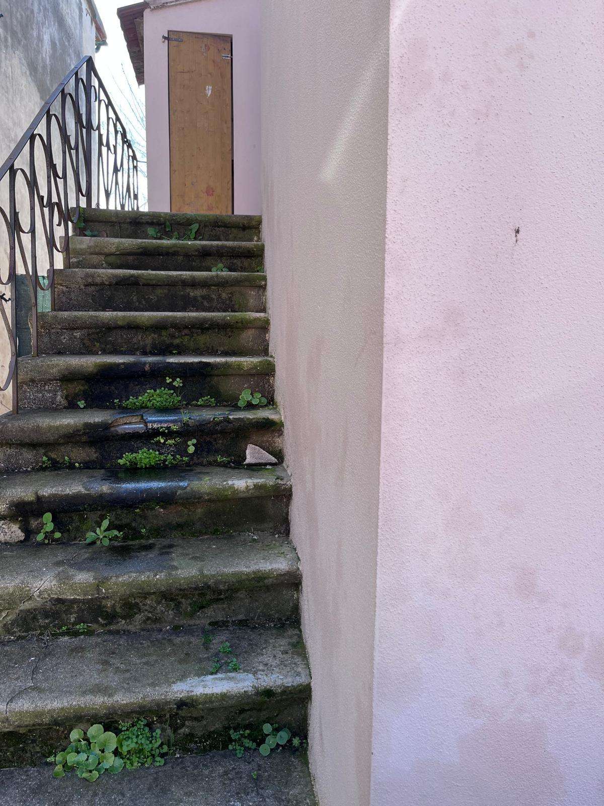  - foto 13