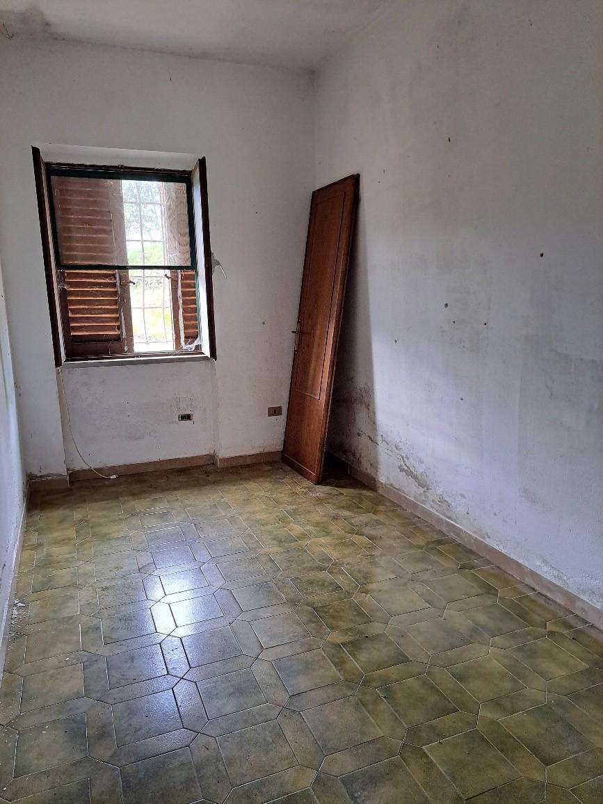  - foto 14