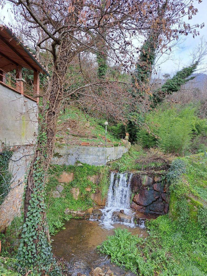  - foto 21