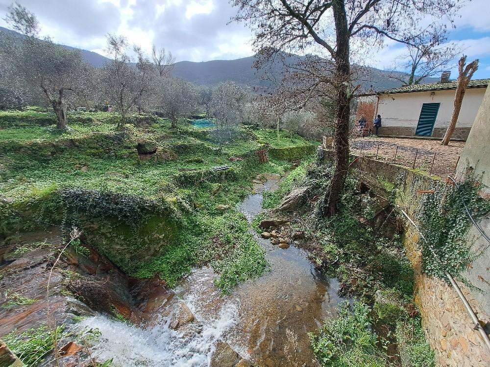  - foto 31