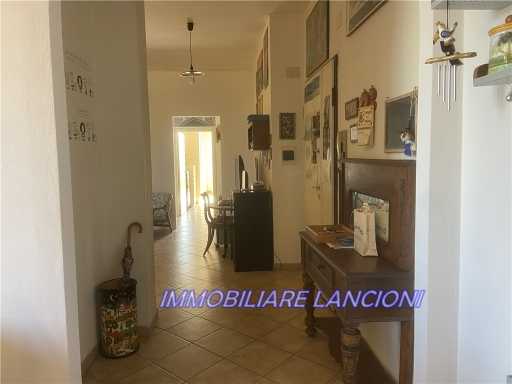  - foto 12