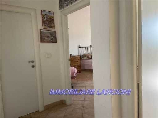  - foto 22