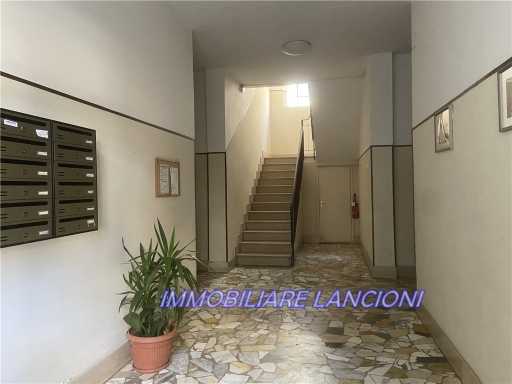  - foto 34