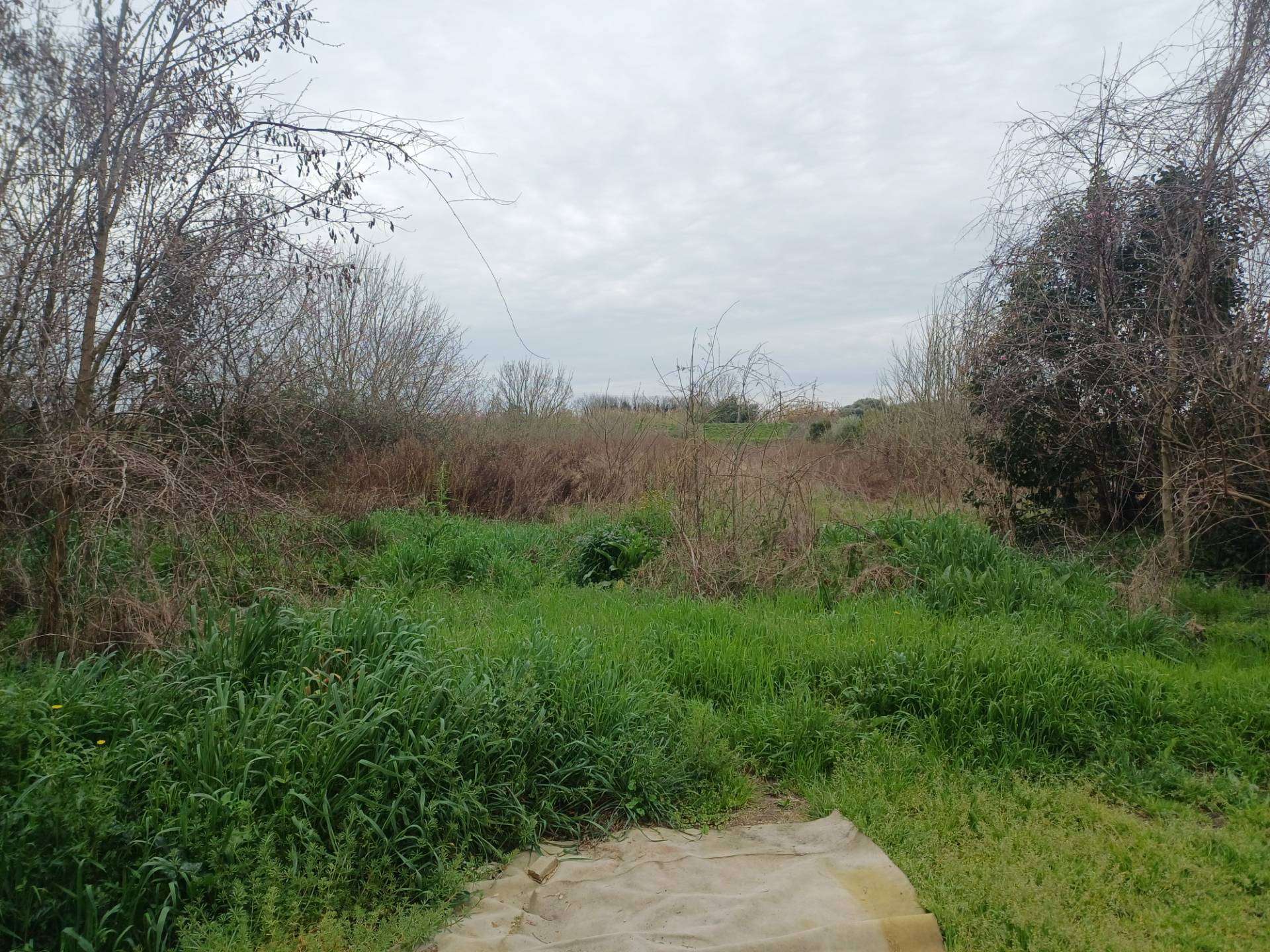  - foto 5