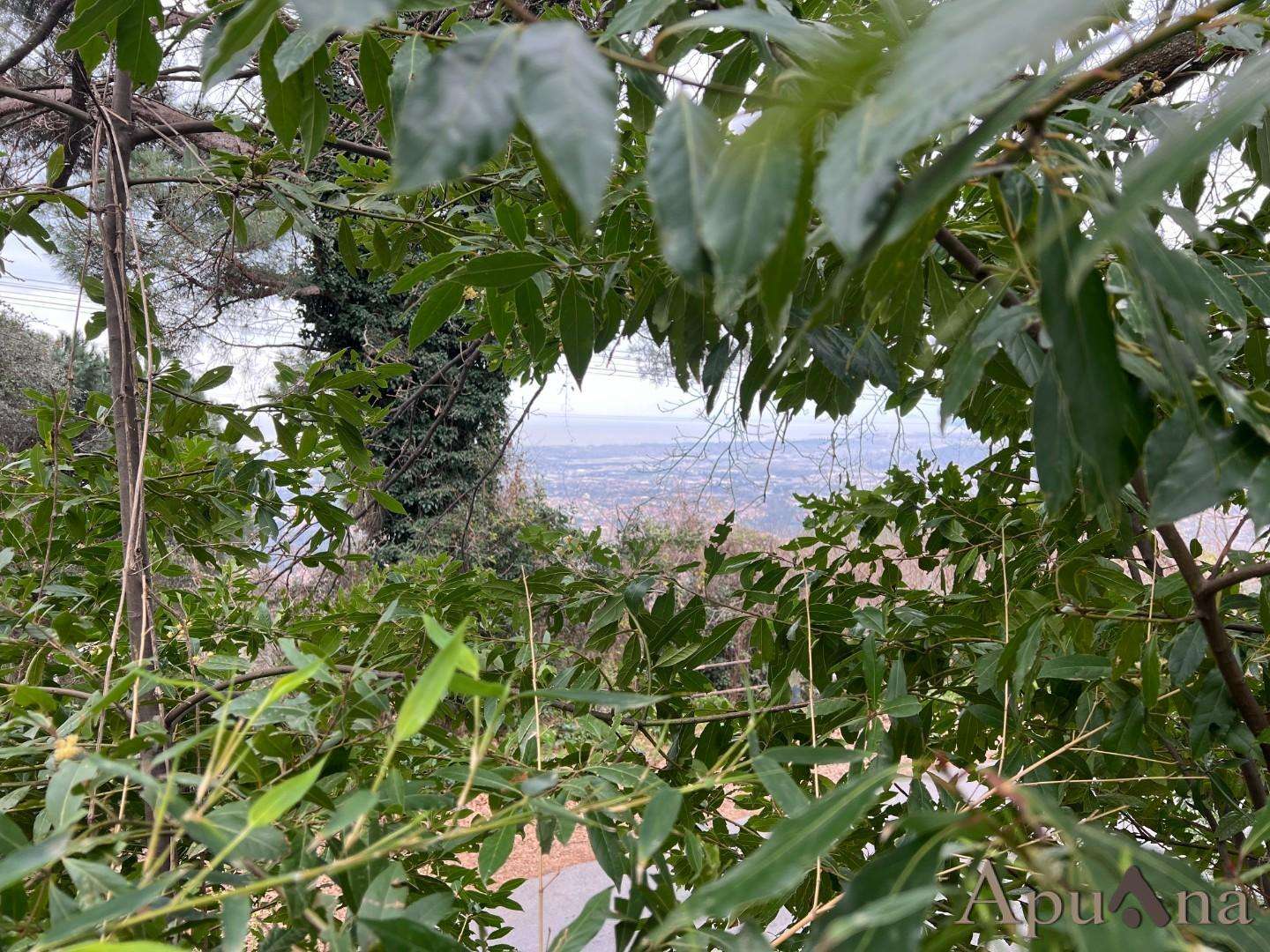  - foto 32