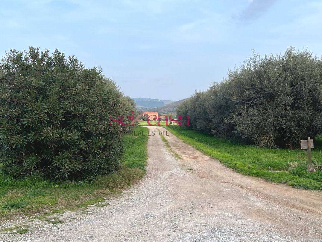  - foto 14
