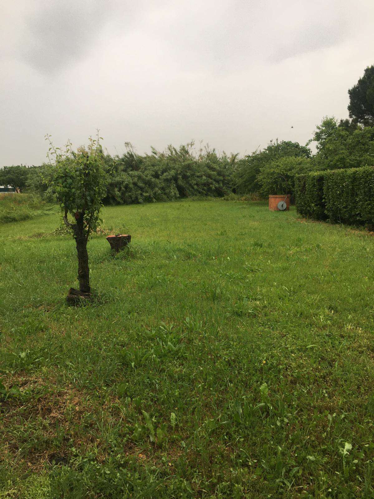  - foto 24
