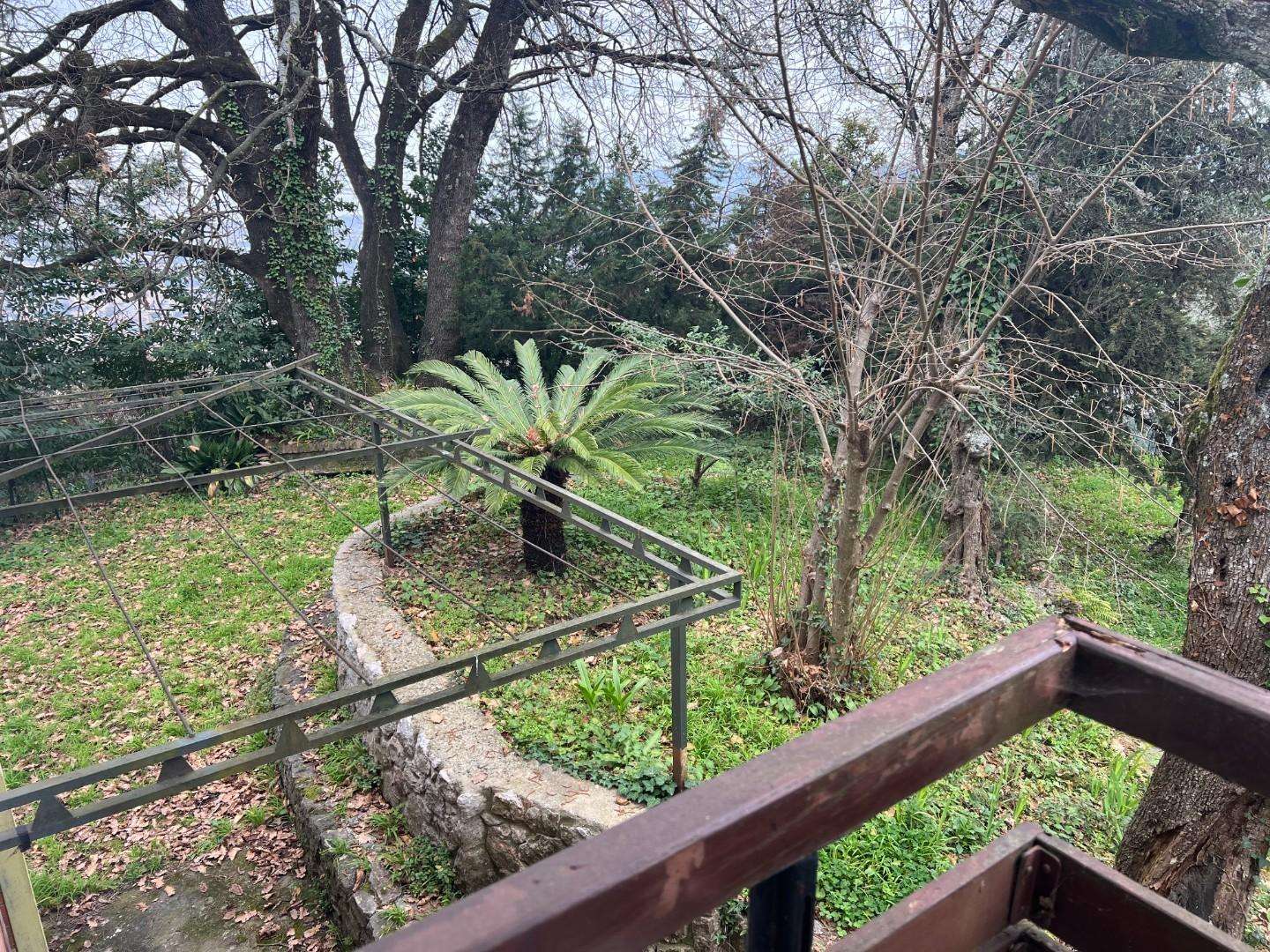  - foto 16