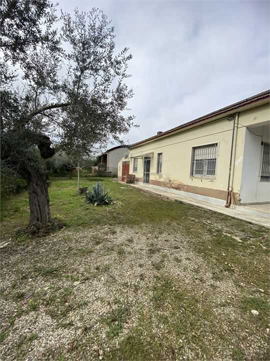  - foto 3