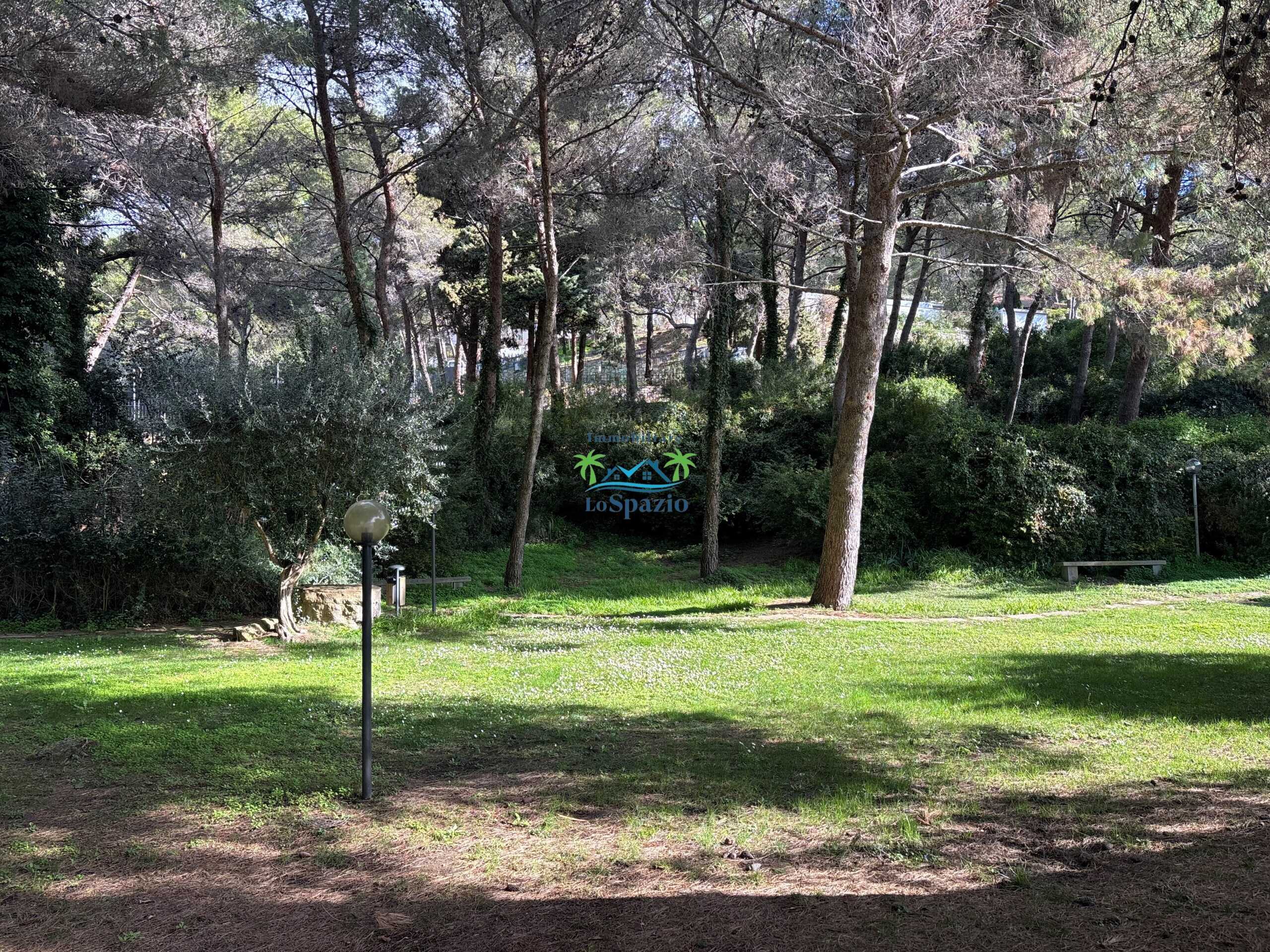  - foto 36