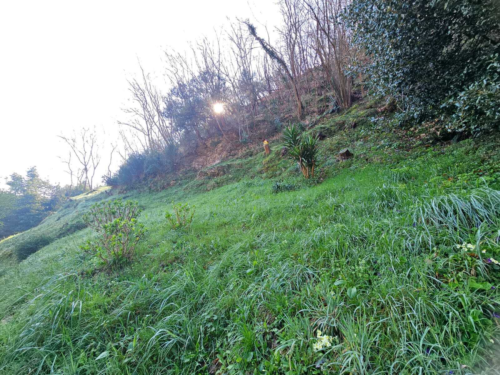  - foto 33
