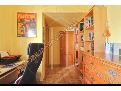  - foto 11
