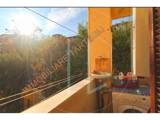  - foto 21