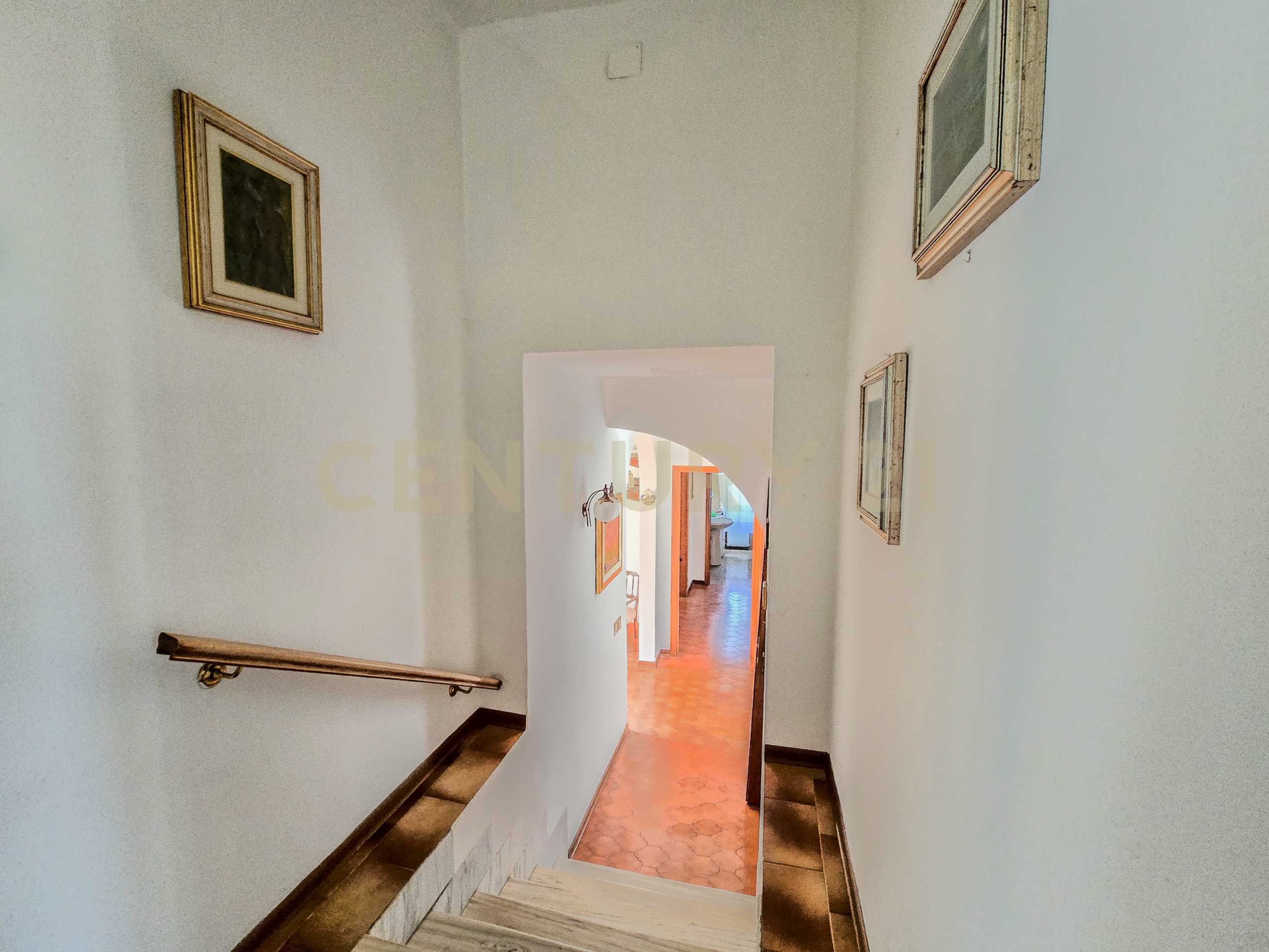  - foto 13