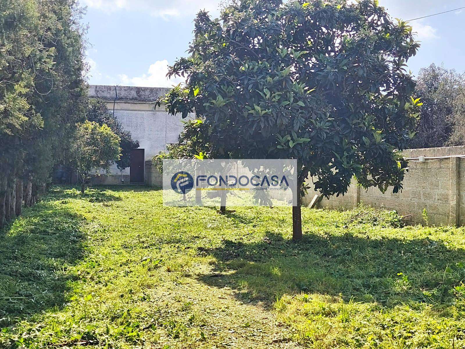  - foto 5