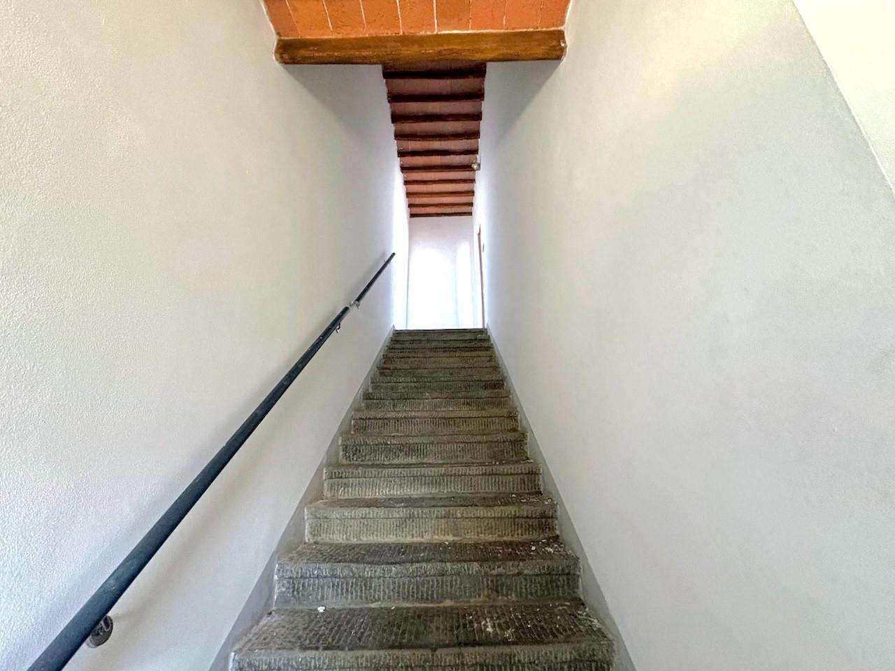  - foto 19