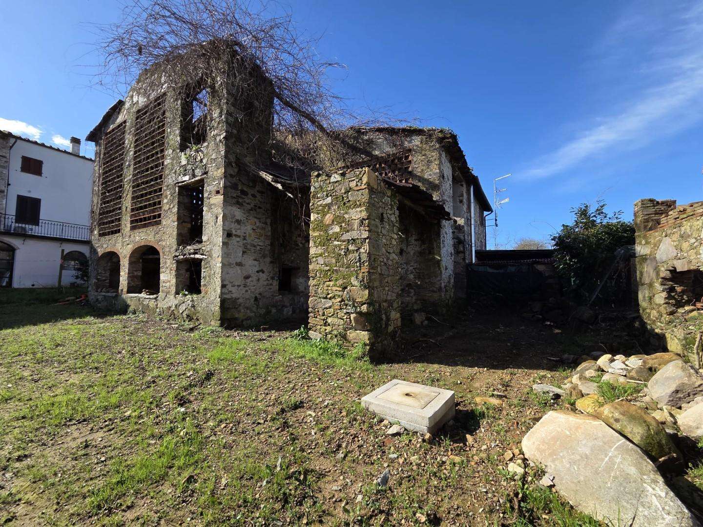 Azienda agricola Via Sottomonte,  56, Capannori
