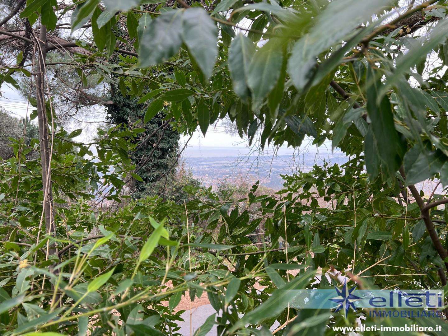  - foto 32