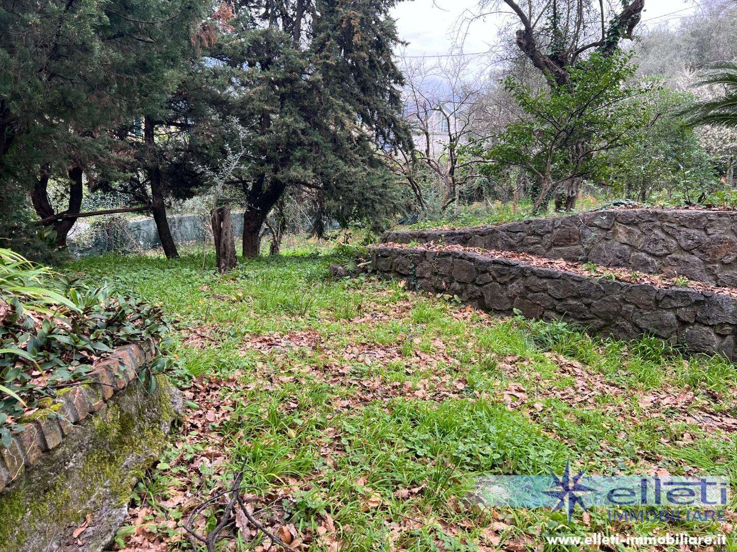  - foto 34