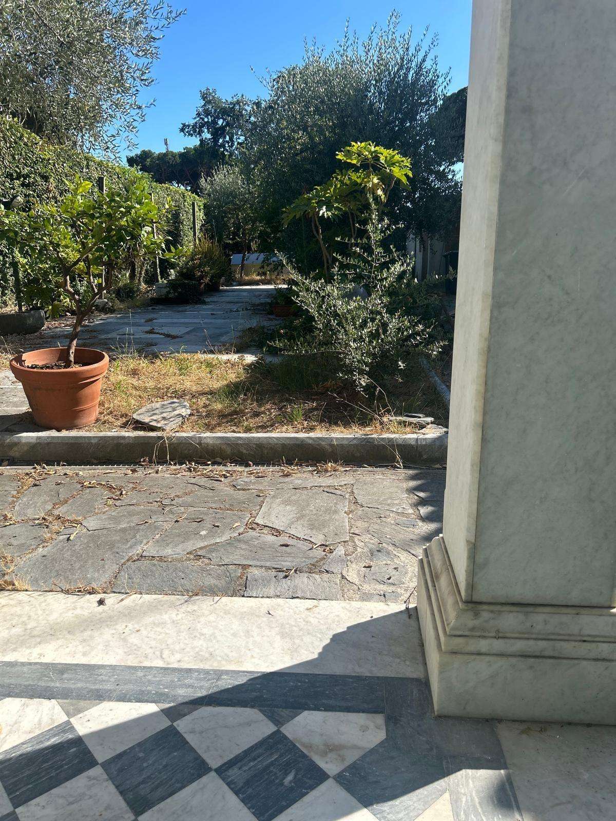  - foto 11
