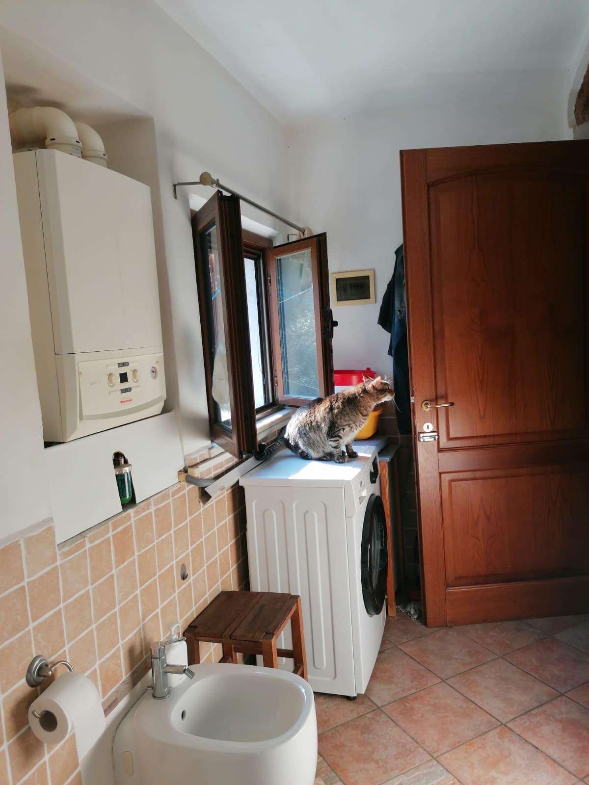  - foto 8
