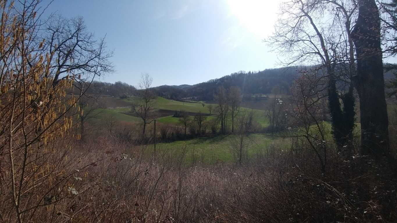  - foto 41
