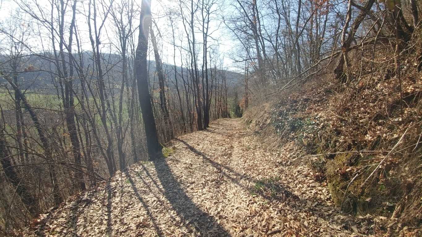  - foto 43