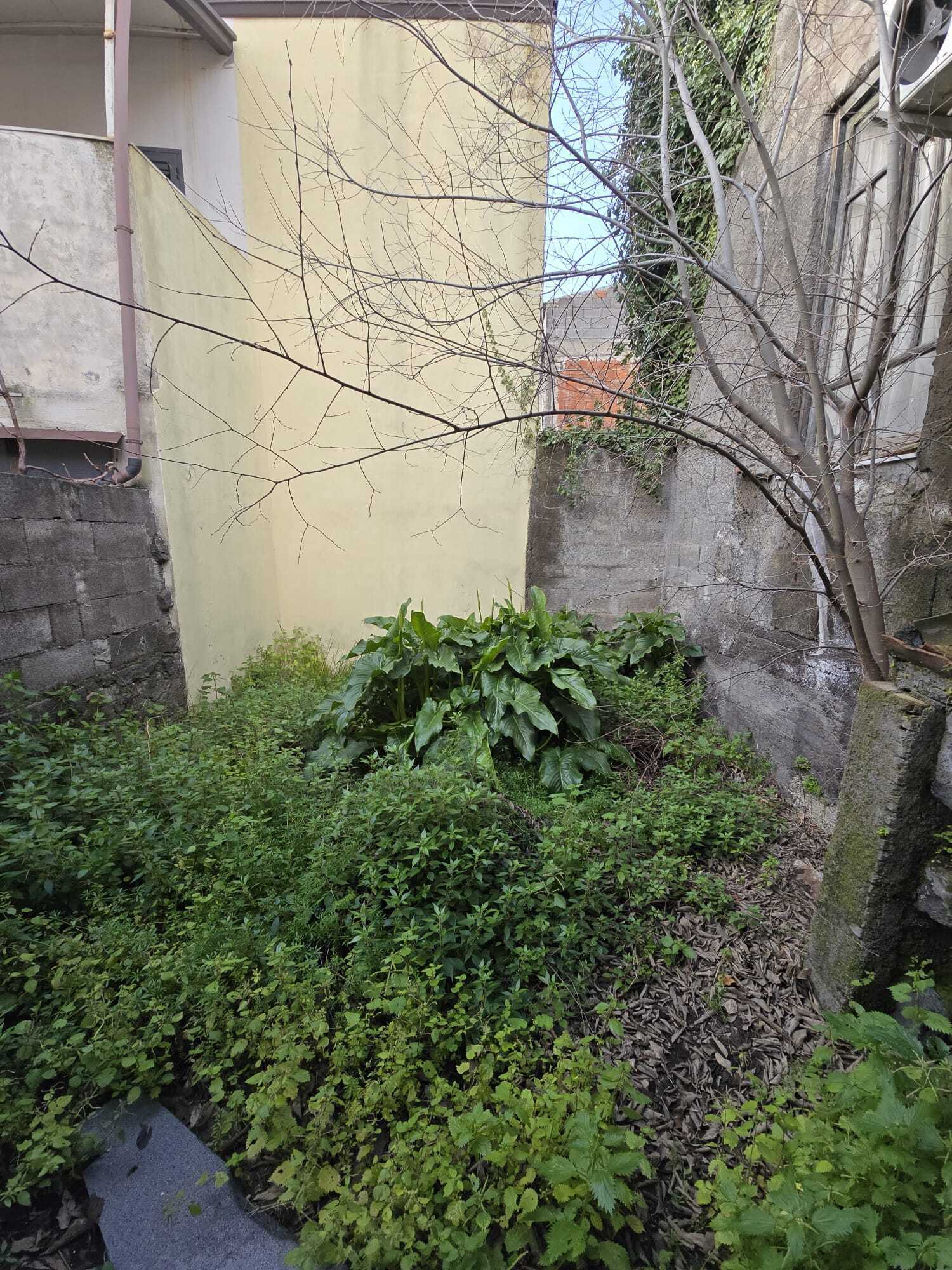  - foto 14