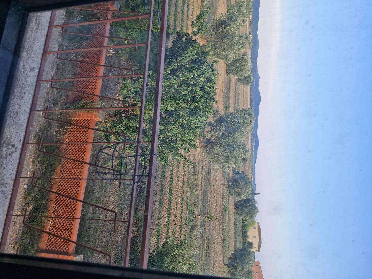  - foto 39