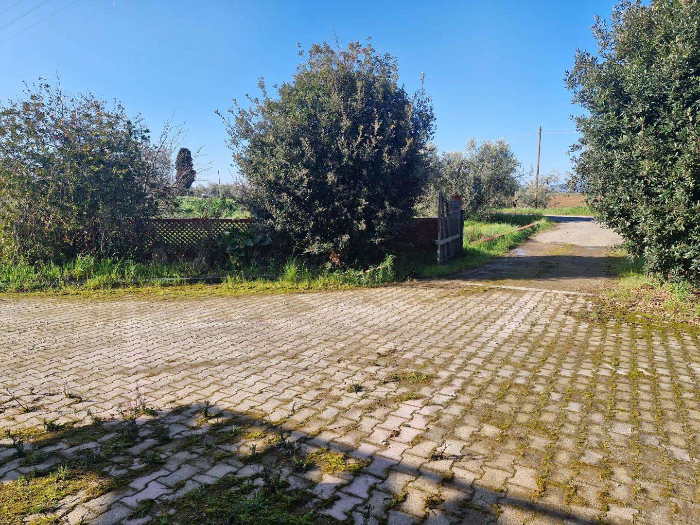  - foto 60