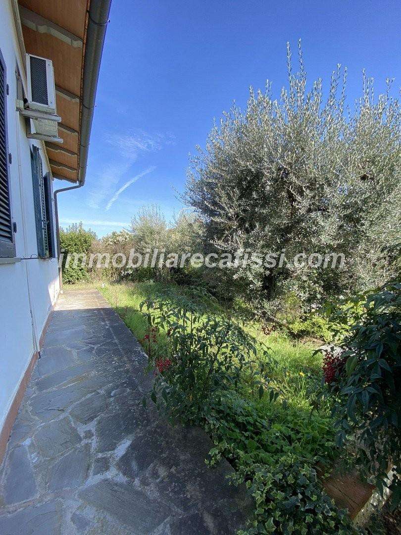  - foto 36