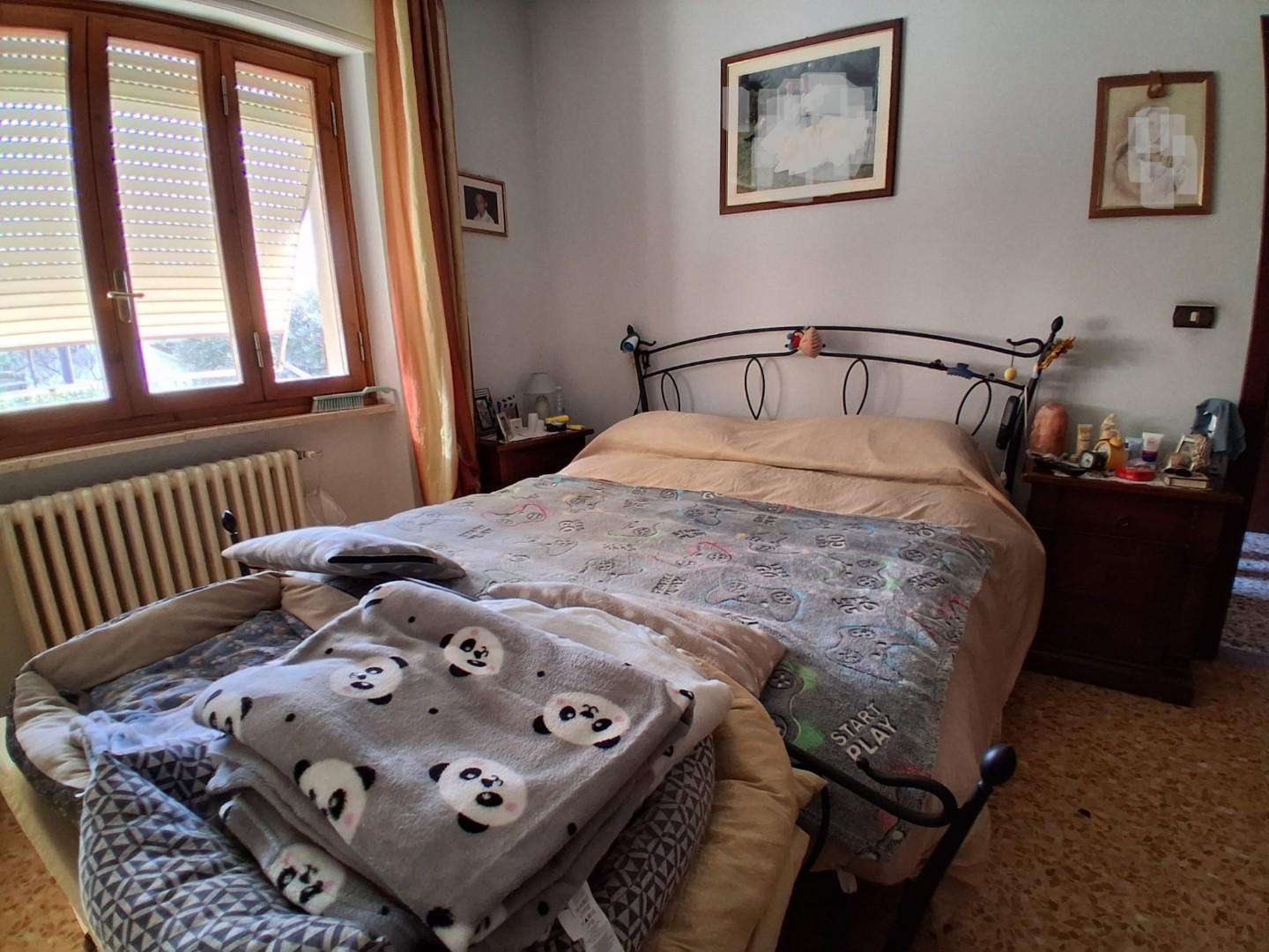  - foto 7