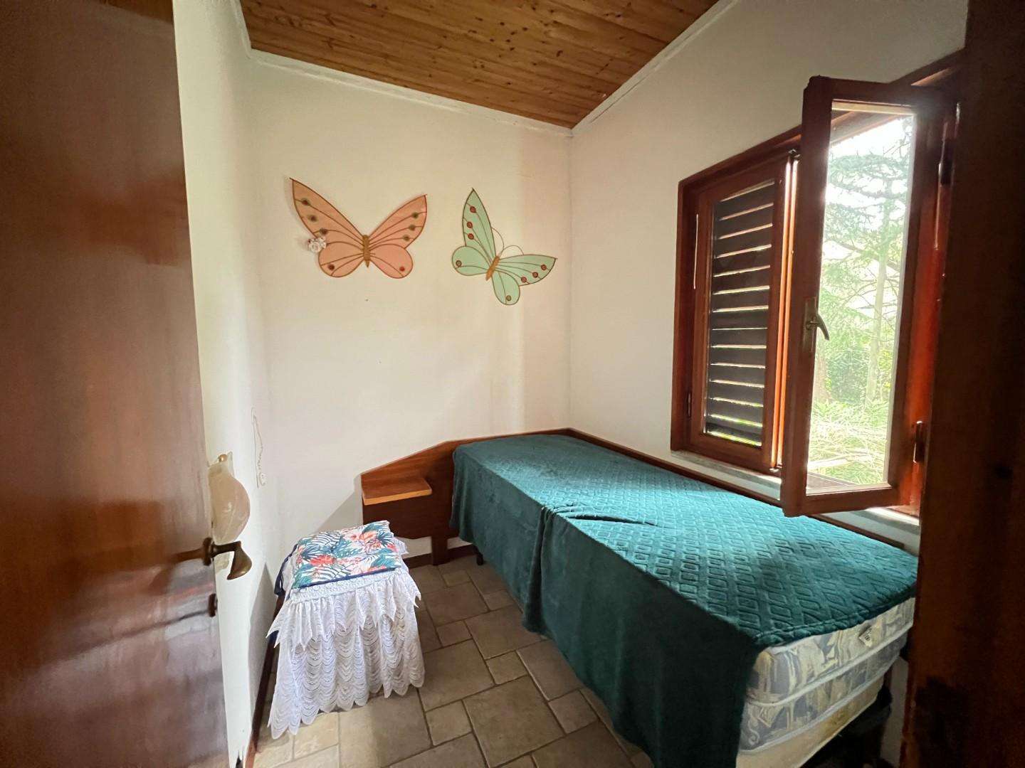  - foto 31