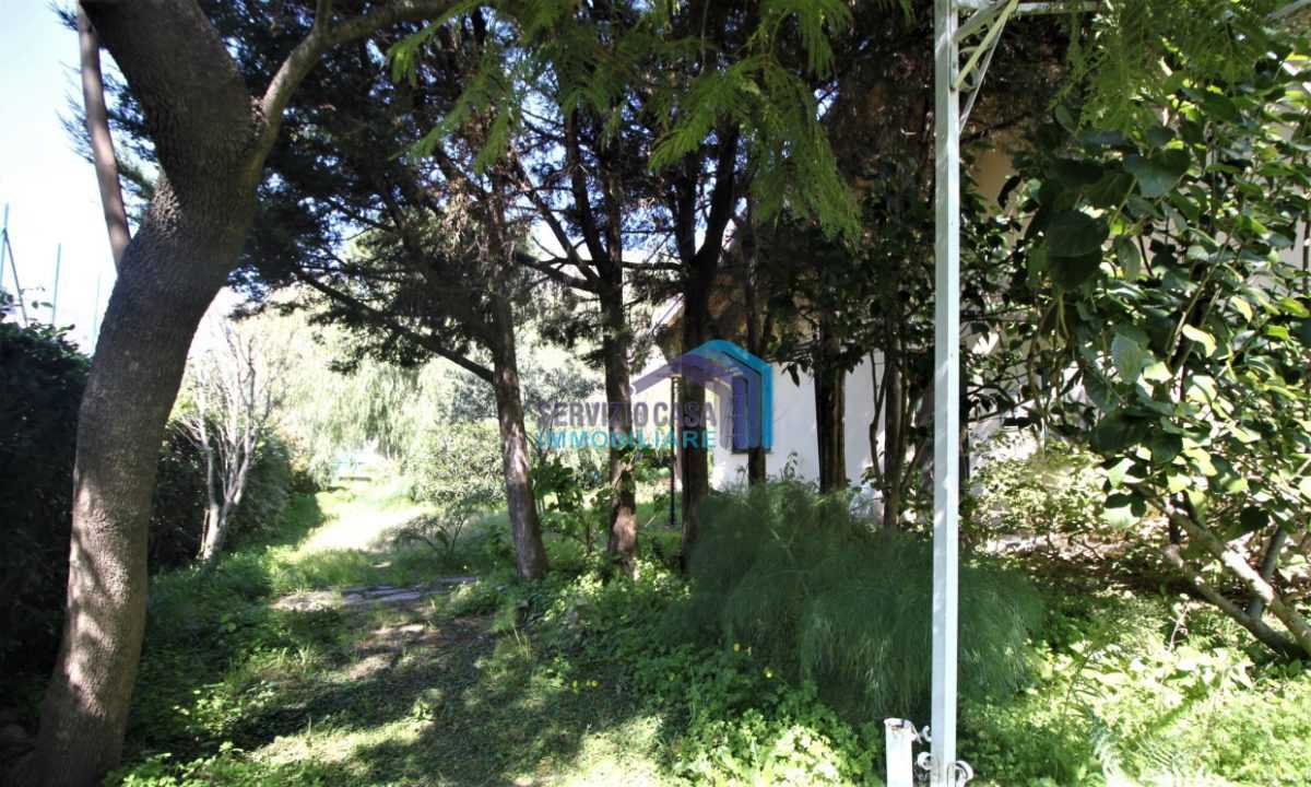  - foto 7