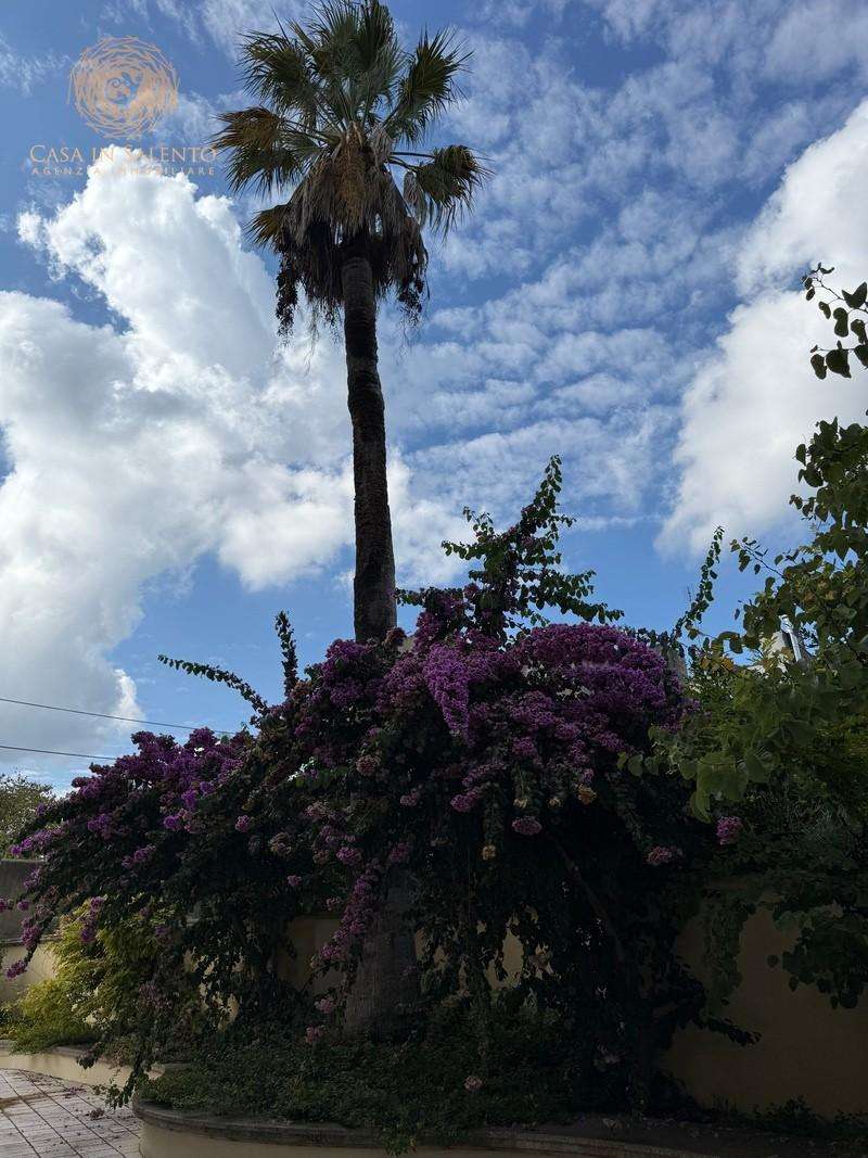  - foto 11