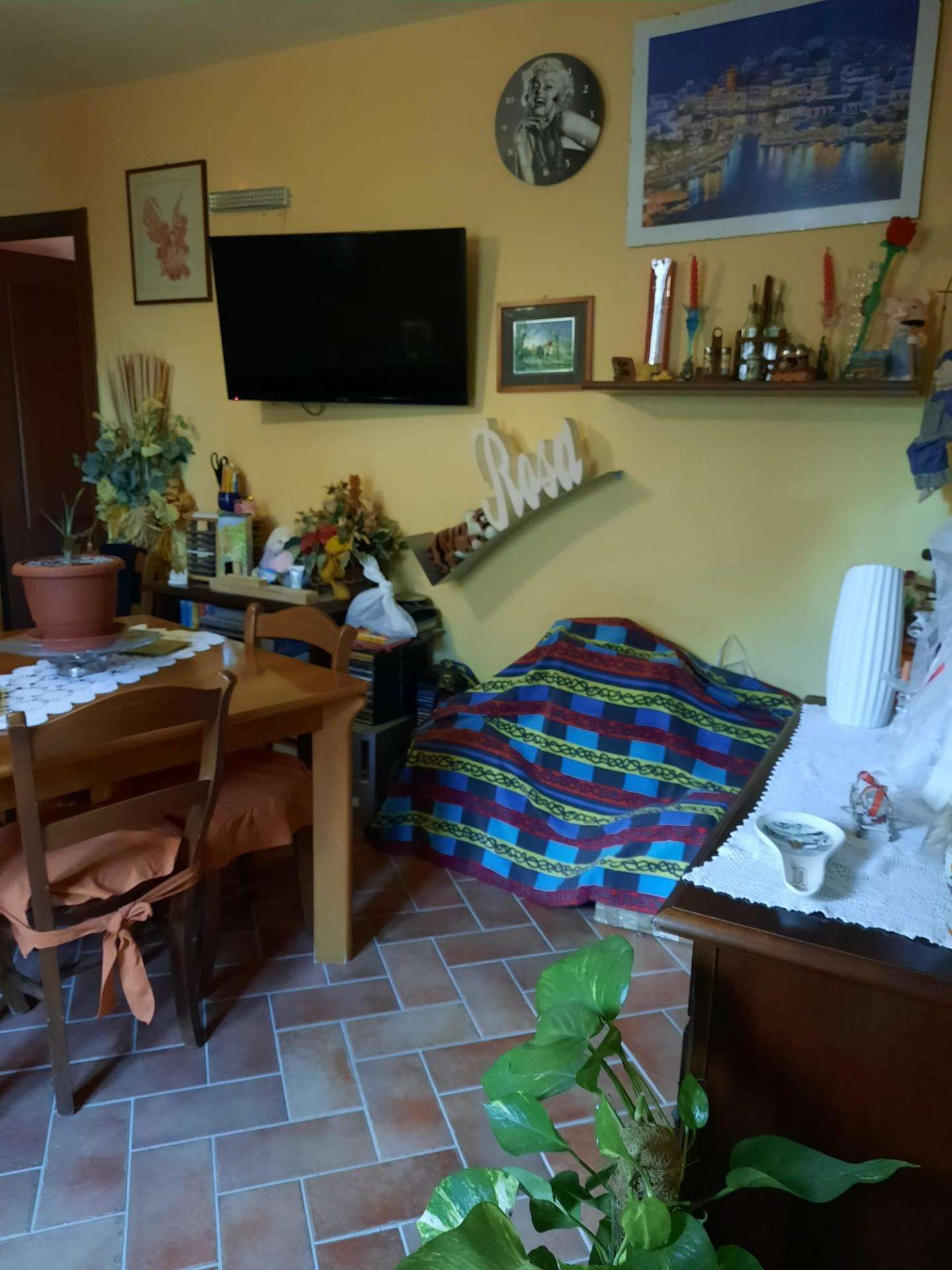  - foto 25