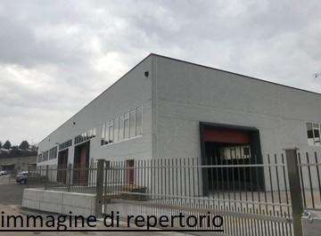 Capannone Viareggio LU,, Viareggio