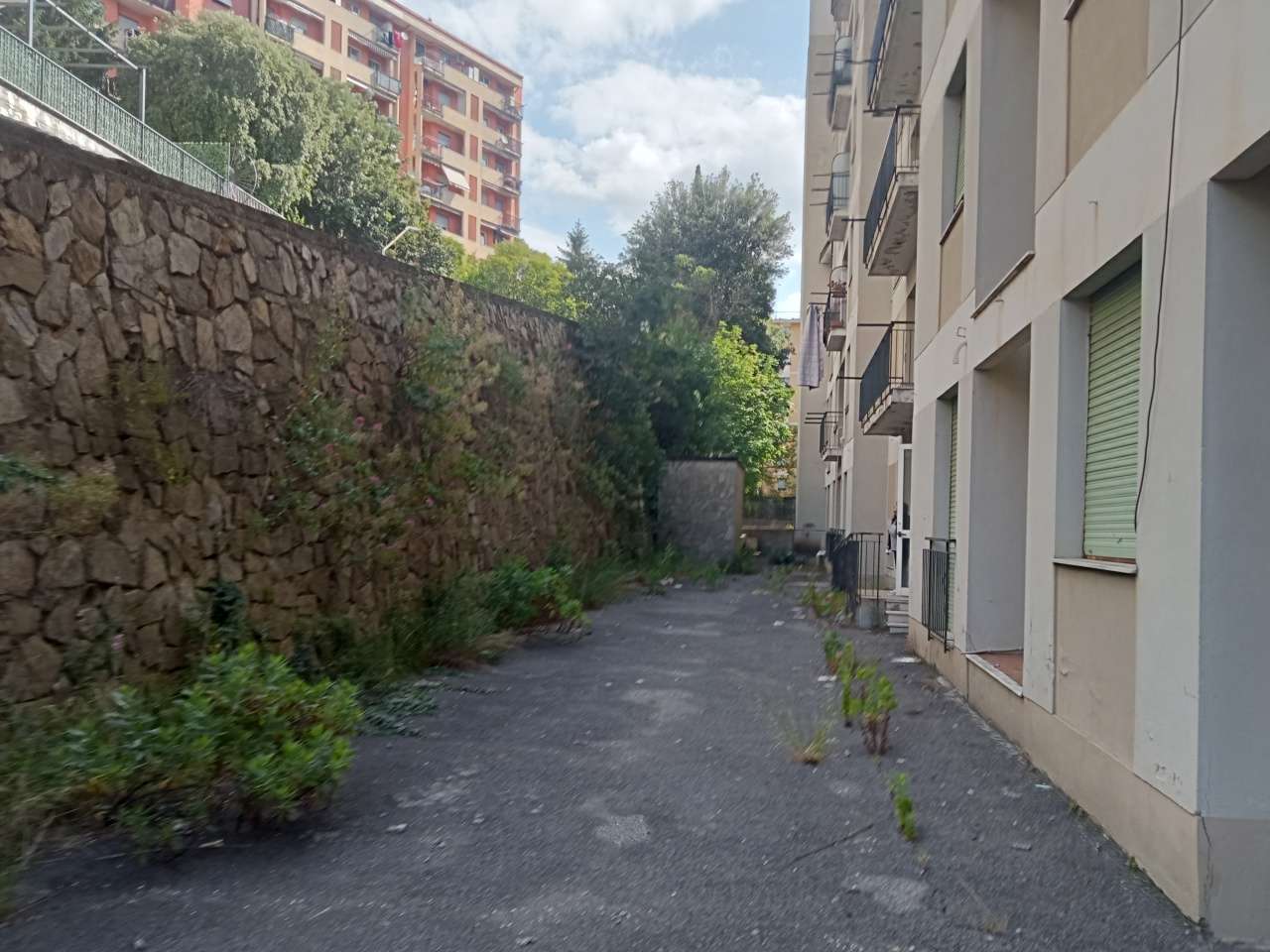  - foto 13