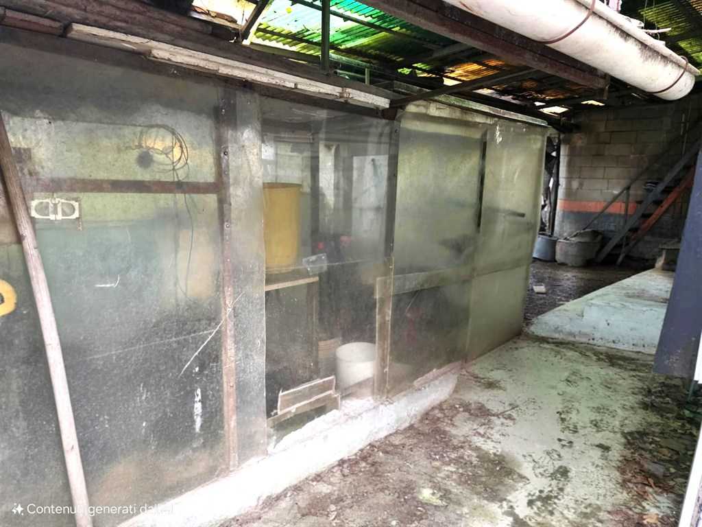  - foto 14