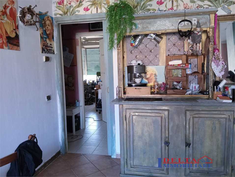  - foto 4