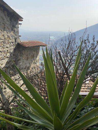  - foto 9