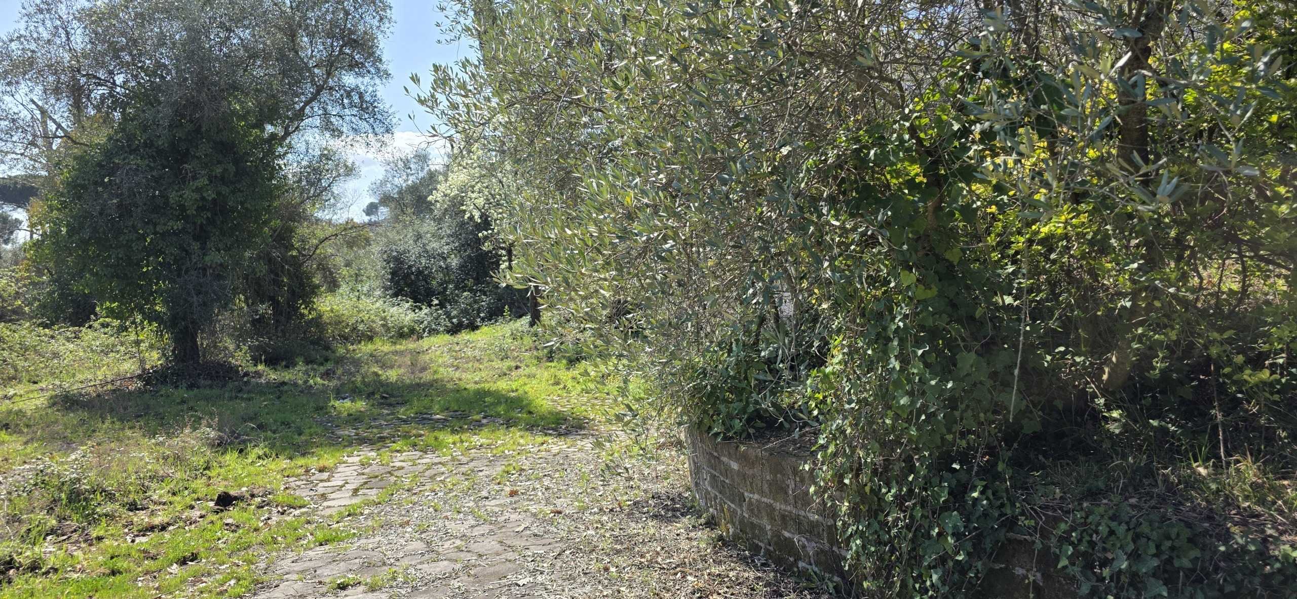  - foto 33