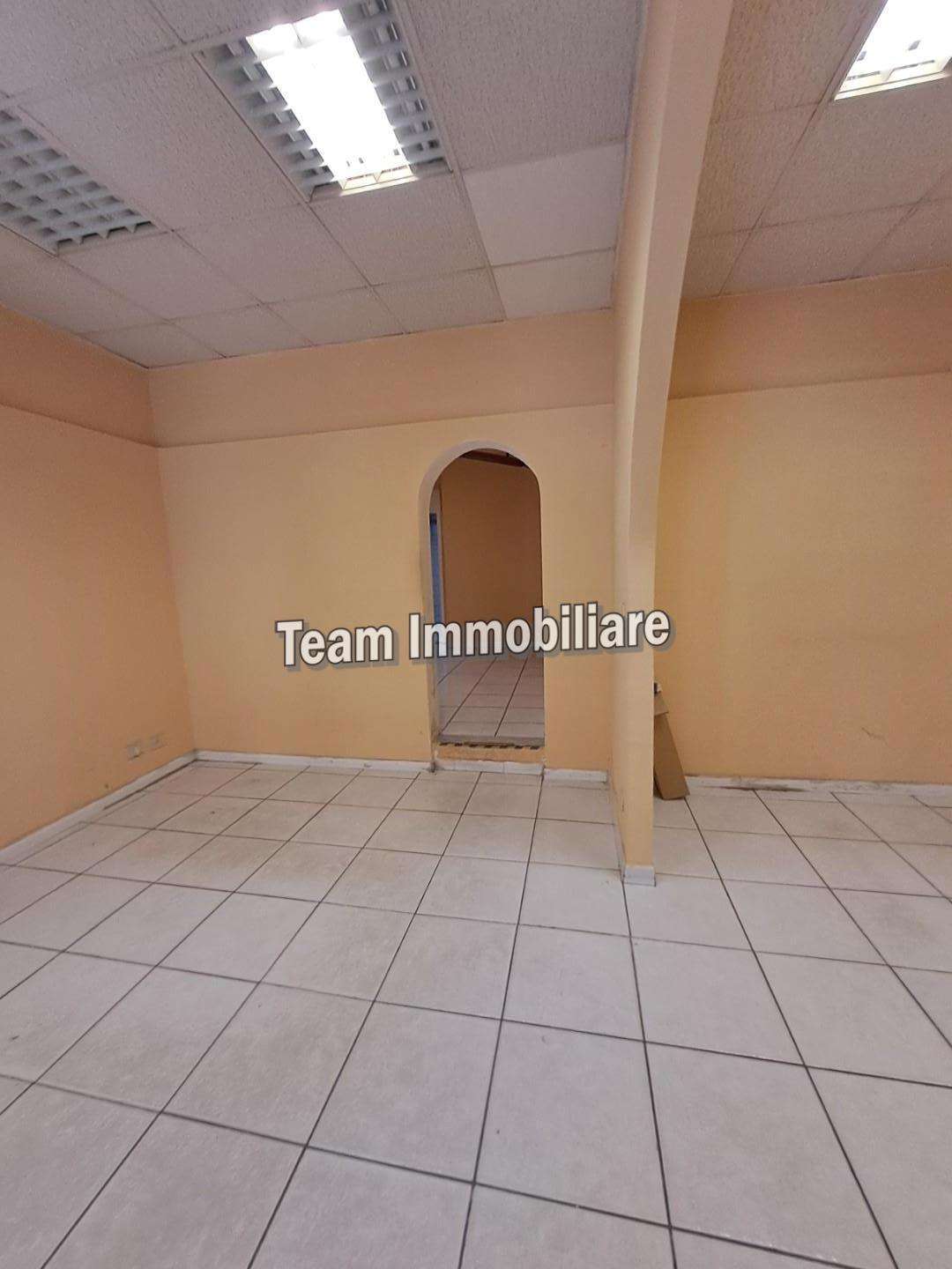  - foto 13