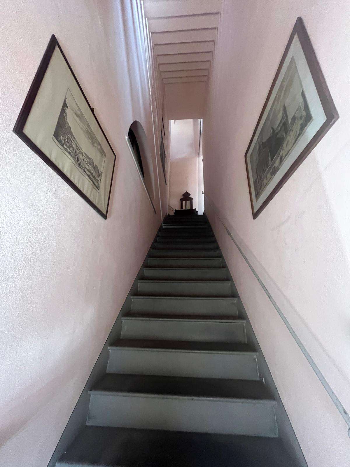  - foto 11