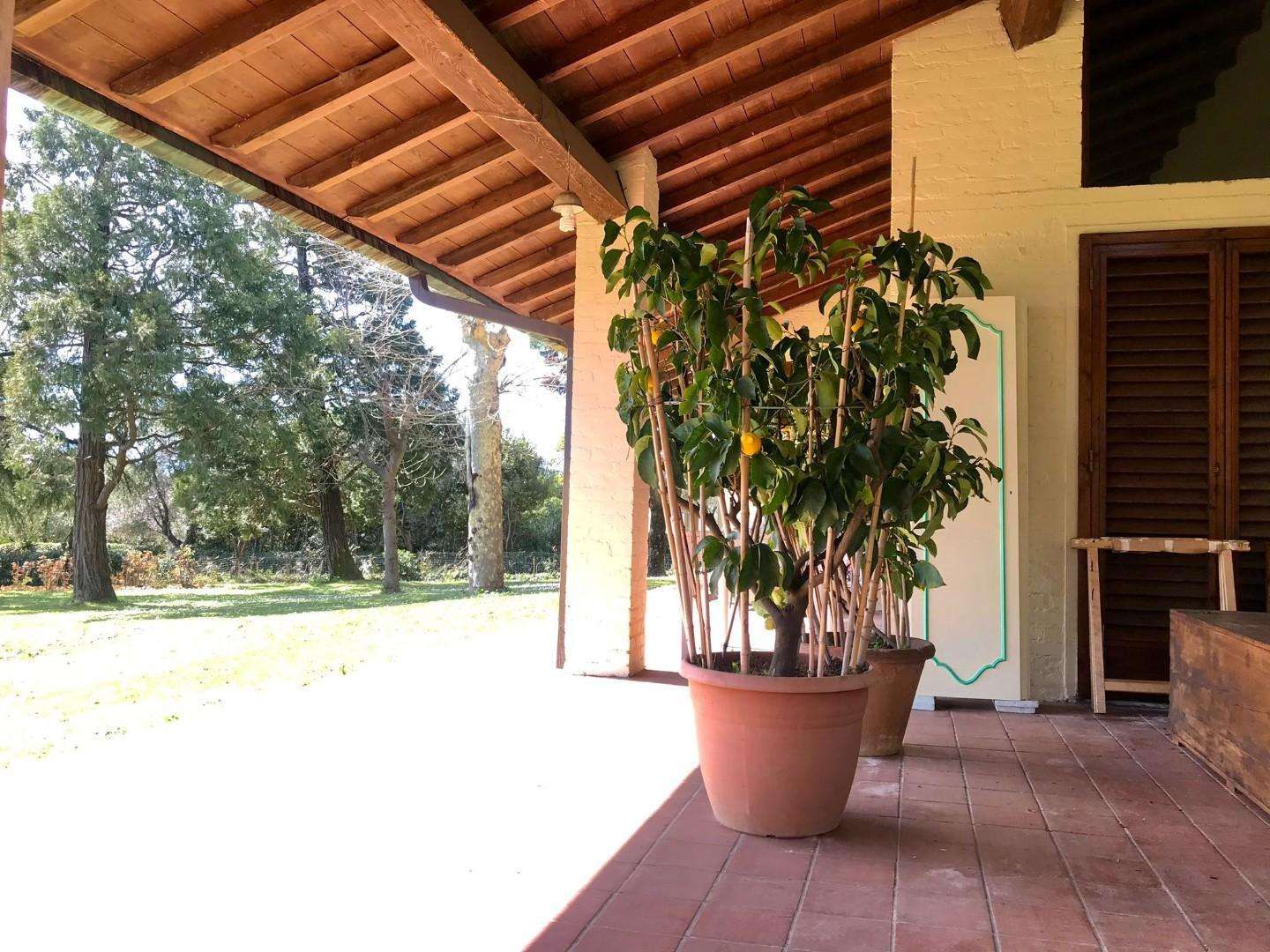  - foto 39