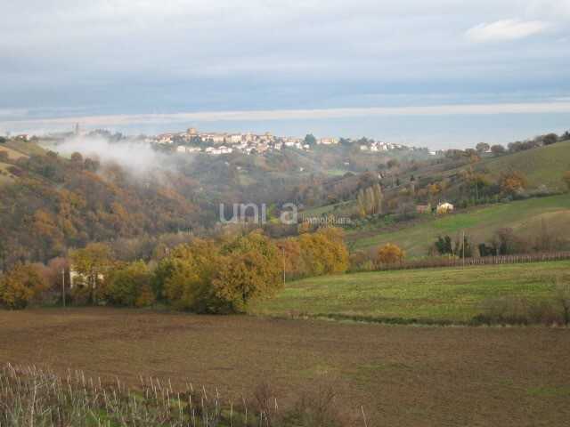  - foto 31