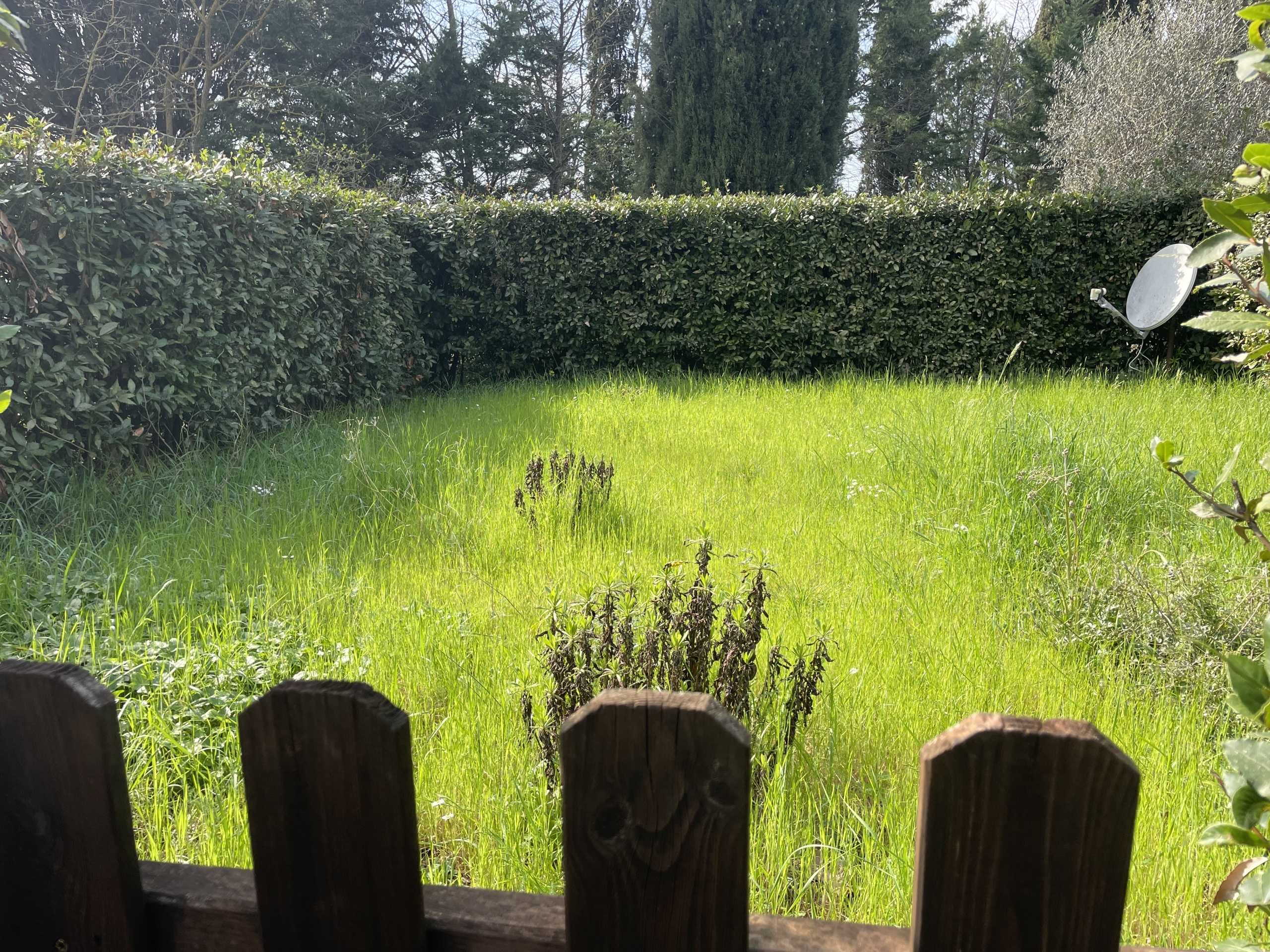  - foto 12